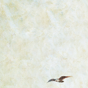 亚洲AV激情无码专区在线下载
